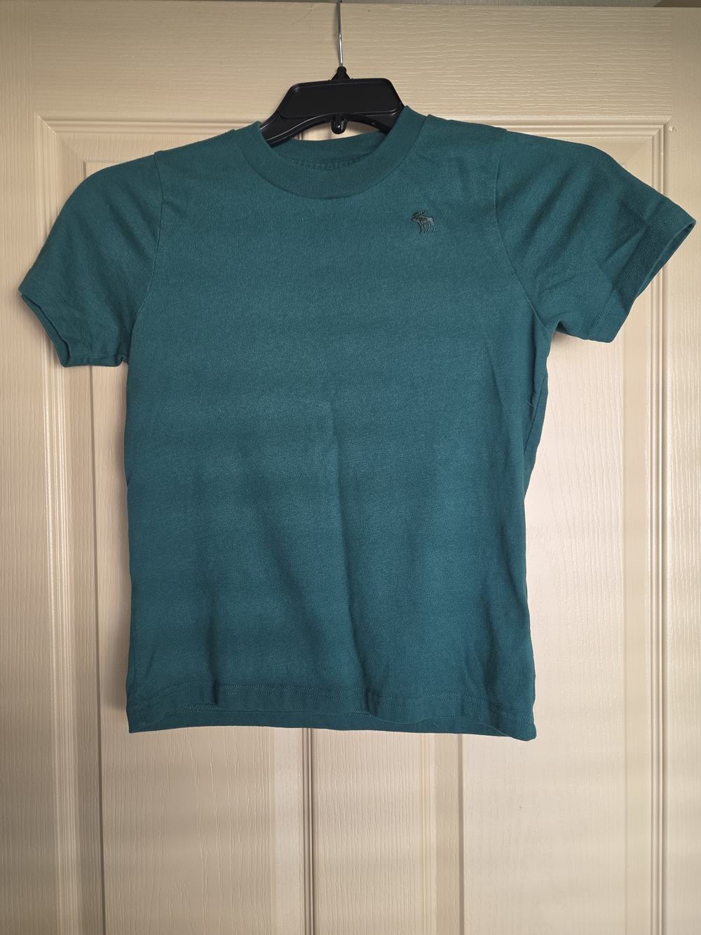 Abercrombie & Fitch Teal Short Sleeve Crewneck Tee